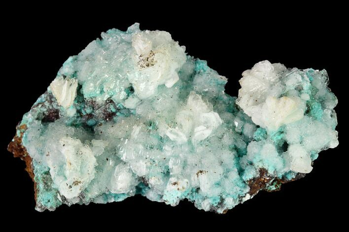 Aurichalcite and Calcite Association - Hidden Treasure Mine #146175